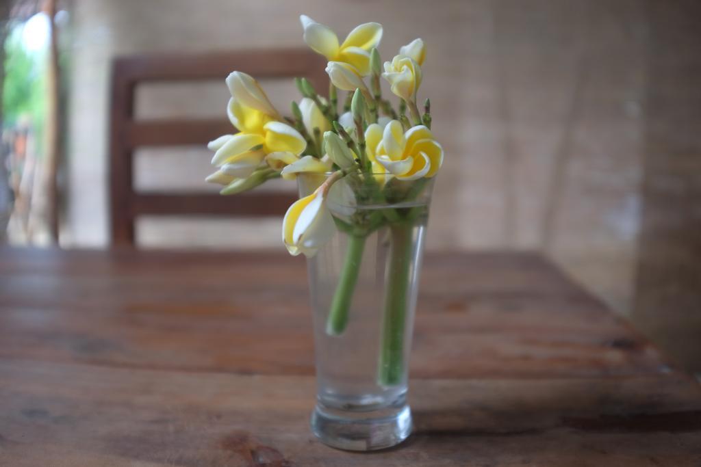 Sansala Guesthouse & Restaurant Tangalle Ngoại thất bức ảnh